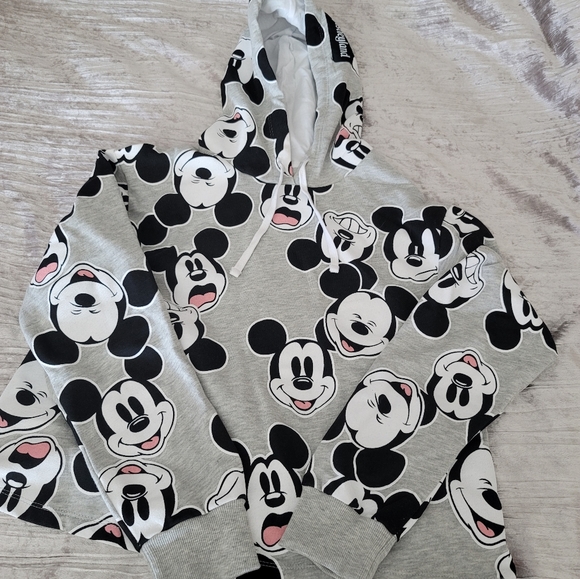 Disneyland hoodie and sweatpants - Picture 3 of 10